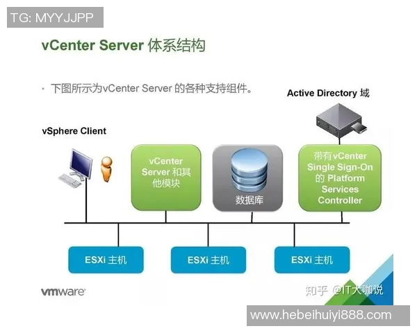 深入探讨V5战队在比赛中的数据分析与配合表现评估
